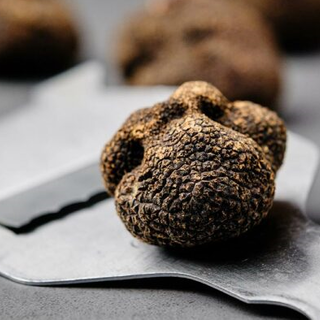 Tartufo nero dell'Astigiano, presto in fiera