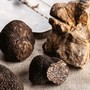 Vacanze Astigiane nel Nero Sublime di Castagnole delle Lanze Vacanze Astigiane nel Nero Sublime di Castagnole delle Lanze