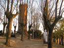 La torre del conte Ballada di Saint Robert, a Castagnole Monferrato La torre del conte Ballada di Saint Robert, a Castagnole Monferrato