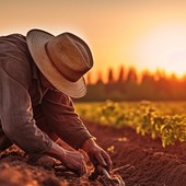 Terra tra le mani di chi oggi protesta per ritrovare dignità