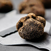 Tartufo nero dell'Astigiano, presto in fiera