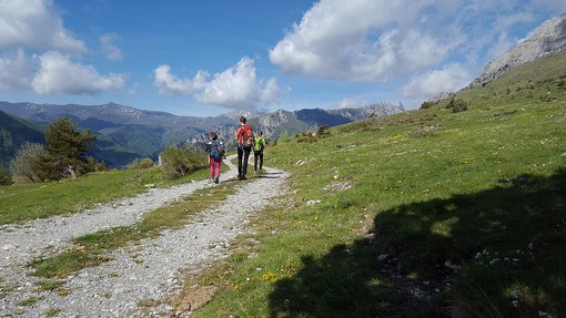 Costruzioni e turismo trainano il Pil Piemonte nel 2026, ma facciamo peggio di Italia ed Europa