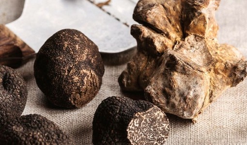 Vacanze Astigiane nel Nero Sublime di Castagnole delle Lanze