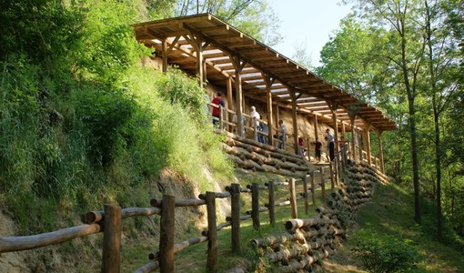Uno degli affioramenti fossiliferi della Riserva Naturale di Valle Andona, nell'Astigiano Uno degli affioramenti fossiliferi della Riserva Naturale di Valle Andona, nell'Astigiano