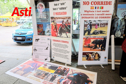 Una precedente iniziativa contro la corrida (Merphefoto) Una precedente iniziativa contro la corrida (Merphefoto)