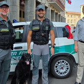 Unità cinofila antiveleno, la Provincia schiera Hero contro le esche avvelenate