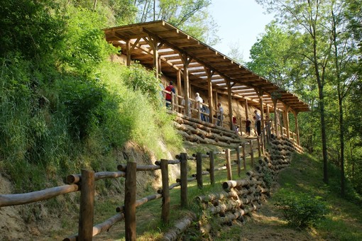 Uno degli affioramenti fossiliferi della Riserva Naturale di Valle Andona, nell'Astigiano