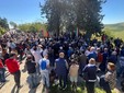 Foto Testa