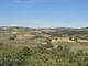 Viarigi contro il maxi impianto agrivoltaico di Altavilla Monferrato: la sindaca solleva dubbi ambientali e agricoli