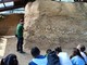 Aprile al Parco Paleontologico: eventi per famiglie tra fossili e natura