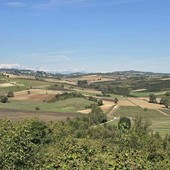 Viarigi contro il maxi impianto agrivoltaico di Altavilla Monferrato: la sindaca solleva dubbi ambientali e agricoli