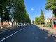 Viale Pilone