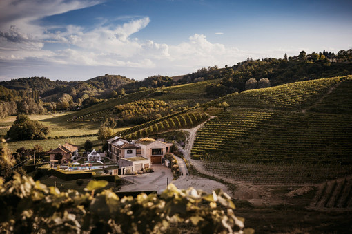 Vinicola Arno: passione, eco-sostenibilità e ospitalità di charme nel cuore del Monferrato
