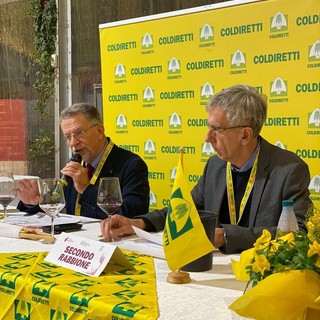 Anteprima Barbera 2025: ad Asti la 24ª edizione svela le prime eccellenze della nuova annata