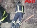 Immagine di repertorio