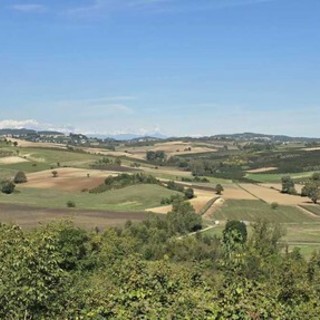 Maxi impianto agrivoltaico ad Altavilla Monferrato: cresce l’opposizione