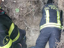 Immagine di repertorio non riferita al fatto specifico