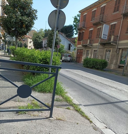Viabilità ad Asti: in viale Partigiani una siepe impedisce la visibilità a chi si immette dalle strade laterali