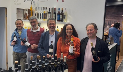 Vini bio in corsia di sorpasso: un italiano su quattro nel mondo è made in Italy