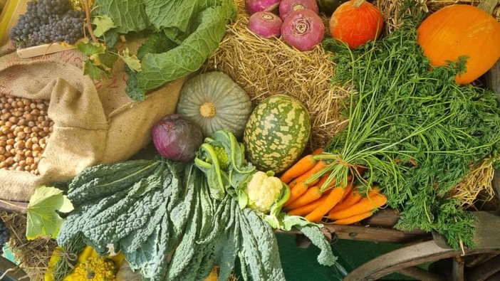 In foto un paniere autunnale In foto un paniere autunnale