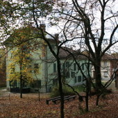 Giardino vivo: tre workshop per imparare la cura sostenibile di alberi, frutteto e orto