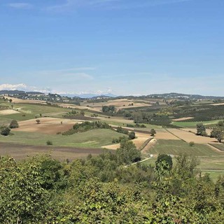 Viarigi contro il maxi impianto agrivoltaico di Altavilla Monferrato: la sindaca solleva dubbi ambientali e agricoli