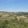 Maxi impianto agrivoltaico ad Altavilla Monferrato: cresce l’opposizione
