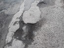 Le immagini di via al Duca Le immagini di via al Duca