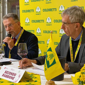 Anteprima Barbera 2025: un'annata superlativa in degustazione ad Asti