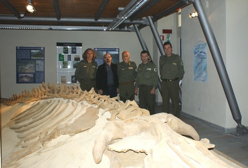 Al Museo Paleontologico di Asti un pomeriggio tra fossili, gioco e avventura
