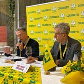 Anteprima Barbera 2025: ad Asti la 24ª edizione svela le prime eccellenze della nuova annata