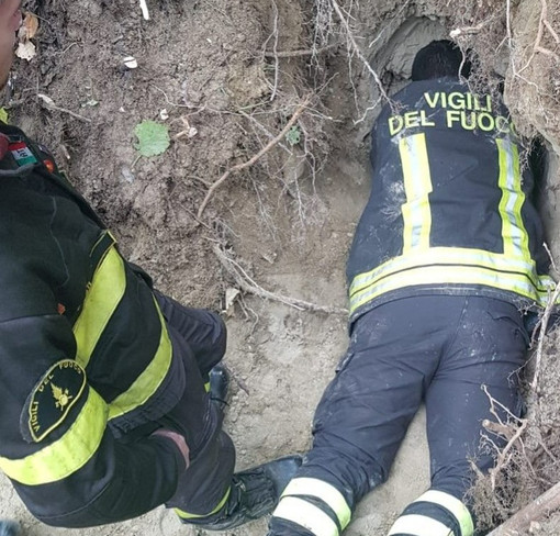 Immagine di repertorio non riferita al fatto specifico Immagine di repertorio non riferita al fatto specifico