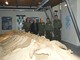 Al Museo Paleontologico di Asti un pomeriggio tra fossili, gioco e avventura