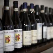 Export vini: l’Asti cerca il rilancio in Cina. Tra i rossi il Piemonte limita i danni: -2,5% a fronte di una crescita a volume del 9%