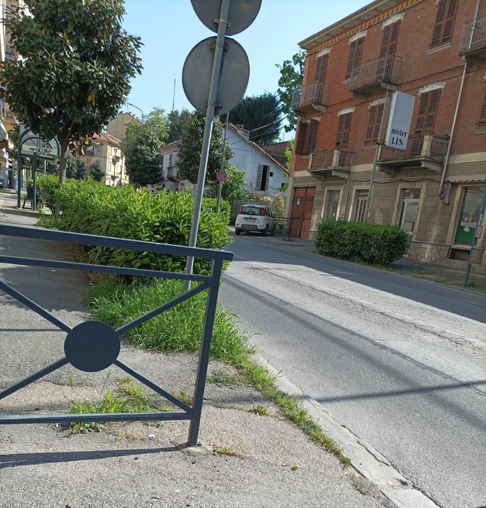 Viabilità ad Asti: in viale Partigiani una siepe impedisce la visibilità a chi si immette dalle strade laterali