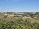 Viarigi contro il maxi impianto agrivoltaico di Altavilla Monferrato: la sindaca solleva dubbi ambientali e agricoli Viarigi contro il maxi impianto agrivoltaico di Altavilla Monferrato: la sindaca solleva dubbi ambientali e agricoli