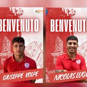 Volpe e Lugli