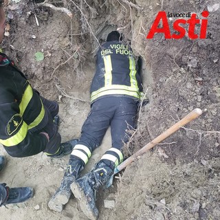 Immagine di repertorio
