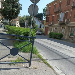 Viabilità ad Asti: in viale Partigiani una siepe impedisce la visibilità a chi si immette dalle strade laterali
