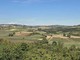 Maxi impianto agrivoltaico ad Altavilla Monferrato: cresce l’opposizione