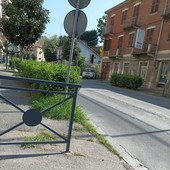 Viabilità ad Asti: in viale Partigiani una siepe impedisce la visibilità a chi si immette dalle strade laterali