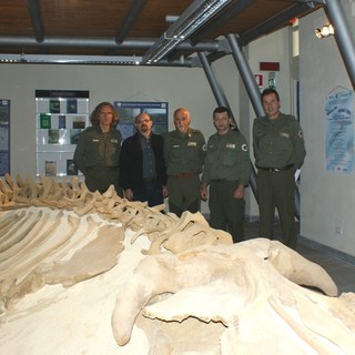 Al Museo Paleontologico di Asti un pomeriggio tra fossili, gioco e avventura