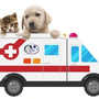 A Moncalvo arriva l'ambulanza veterinaria: soccorso h24 per gli animali domestici