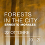 Ernesto Morales porta ad Asti la sua foresta immaginaria Ernesto Morales porta ad Asti la sua foresta immaginaria