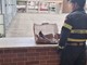 Asti: i vigili del fuoco hanno ‘soccorso’ una gazza entrata in un palazzo