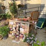 Cerreto d'Asti in festa tra rose e arte: il 4 maggio torna la magia