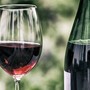 Cambiamento climatico e corsa all'alta quota: gli analisti di Wine Meridian svelano come si sta ridisegnando la mappa economica del vino italiano