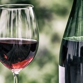 Cambiamento climatico e corsa all'alta quota: gli analisti di Wine Meridian svelano come si sta ridisegnando la mappa economica del vino italiano