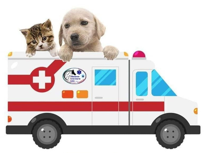 A Moncalvo arriva l'ambulanza veterinaria: soccorso h24 per gli animali domestici