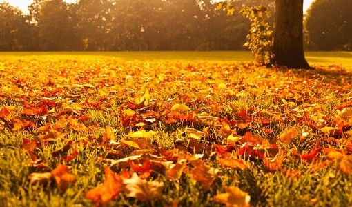 L'autunno stenta a partire ad Asti: nei primi dieci giorni di ottobre sole e caldo fuori stagione L'autunno stenta a partire ad Asti: nei primi dieci giorni di ottobre sole e caldo fuori stagione
